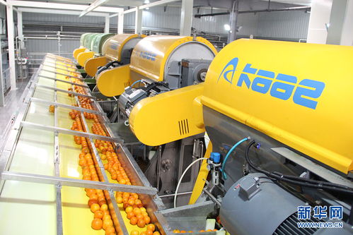 鄉(xiāng)味重慶老字號牛肉干的逆生長 電桿用滾焊機的新生